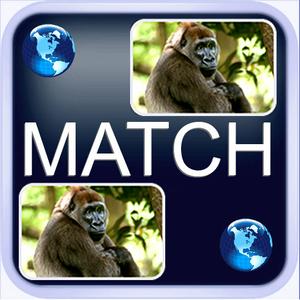 Photo Memory Game - Concentration, Pairs, Matching