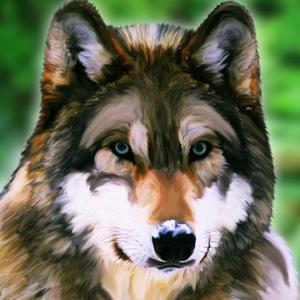 Wolf Slayer – Rescue Deer 3D