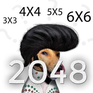 2048 Pet Stars 3X3 4X4 5X5 6X6