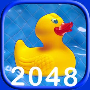 2048 Pool Ducky