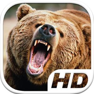 Bear Simulator Hd Animal Life