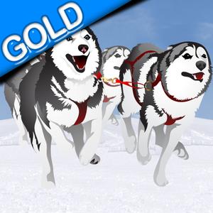 Dog Sledding Winter Race : The Canine Cold Ice Sled In The North Pole - Gold Edition