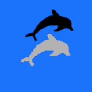 Dolphin Fun