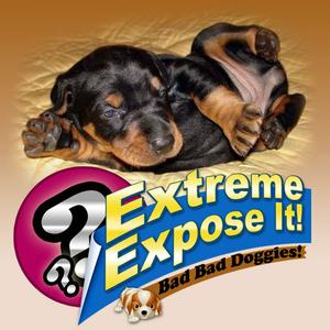 Extreme Expose It! Bad Bad Doggie!