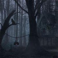 play Night Forest Owl Escape