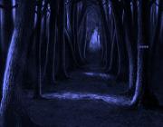 play Forest Partridge Escape