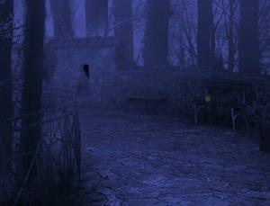 play Escapezone Forest Partridge Escape