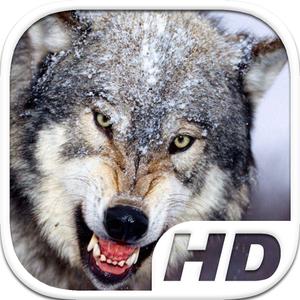 Gray Wolf Simulator Hd Animal Life