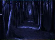 play Forest Partridge Escape