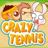 play Crazy Tennis