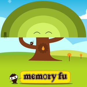 Memory Fu