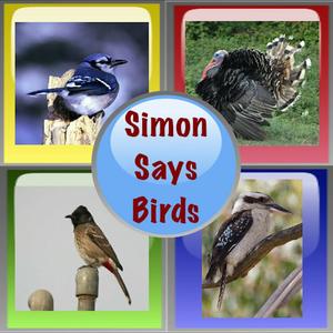 Simon Says Birds