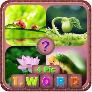 4 Pics 1 Word-Guess The Word