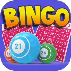 Bingo Bingo