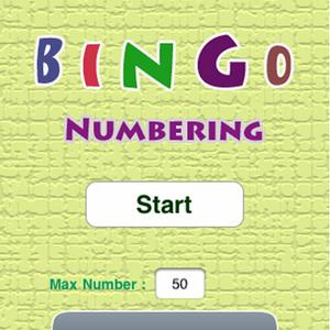 Bingo Numbering