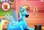 play Rainbow Dash And The Newborn Baby