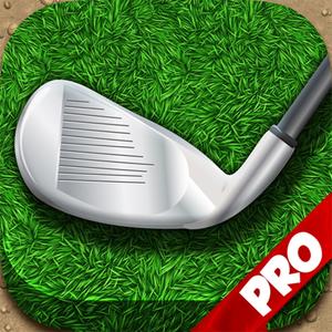 Topgamer - Tiger Woods Pga Golf Tour 2003 Edition!