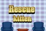 play Rescue Kitten