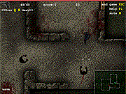 play Sas: Zombie Assult