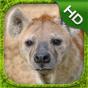 Hyena Simulator - Hd