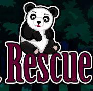 play Escapezone Forest Panda Rescue