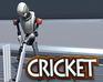 play Robot Cricket Galaxy Cup 3D