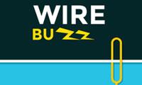 play Wirebuzz