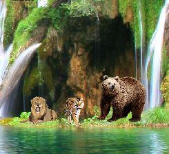 play Cool8 Jungle Animal Escape