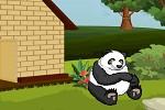 play Escape From Hungry Panda