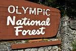 play Escape From Olympic National Forest