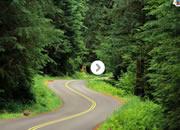 play Escape From Olympic National Forest