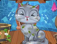 play My Cute Cat Makeover