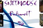 play Sniffmouse Pictureit 70