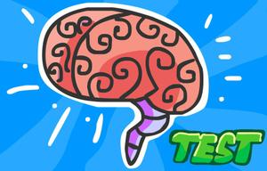 play Smarty Test2