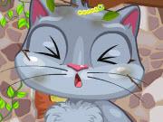 play My Cute Cat Makeover