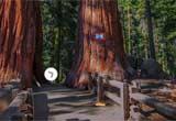 play Escape From Giant Sequoia National Monument