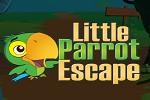 Little Parrot Escape