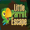 Play9 Little Parrot Escape