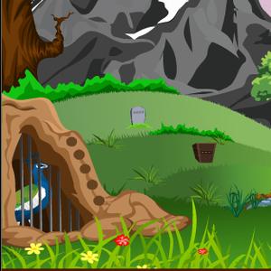 play The Escape Peacock Rescue From Cage