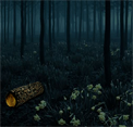 play Escape From Black Forest