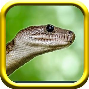 Snake Rampage - A Snake Simulator Game