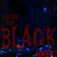 play Escape From Black Forest