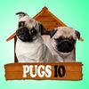 Pugs Io