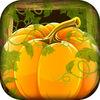 Pumpkin Patch Pandemonium – Halloween Tap Pop Puzzle Free