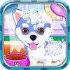 play Puppy And Kitty Salon