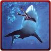 Angry Shark Attack Simulator – Killer Predator Simulation Game