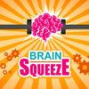 Brainsqueeze Challenging 5-In-1 Brain Testers Puzzles