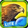 My Birds Of Prey Hd Lite