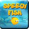 Speedy Fishs