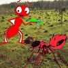 Ant Attack - Attack Of The Fire Ants!